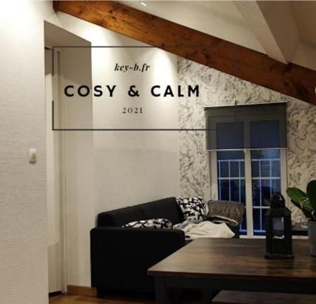 Calm & Cosy Appartamento Freyming-Merlebach Esterno foto