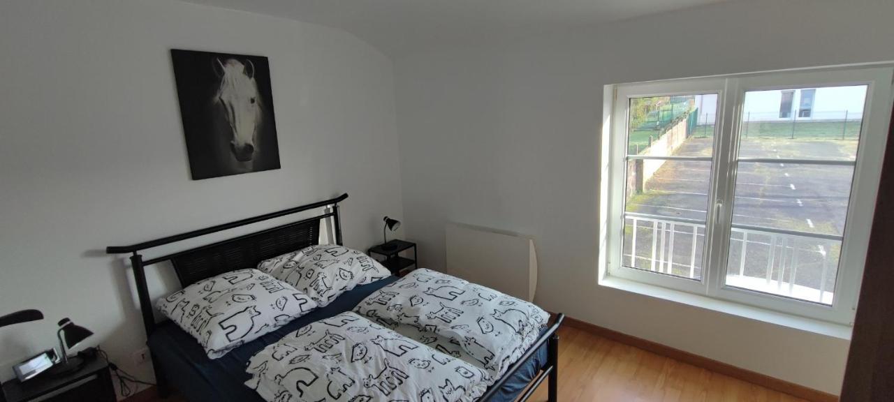 Calm & Cosy Appartamento Freyming-Merlebach Esterno foto